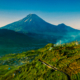 Dieng Plateau